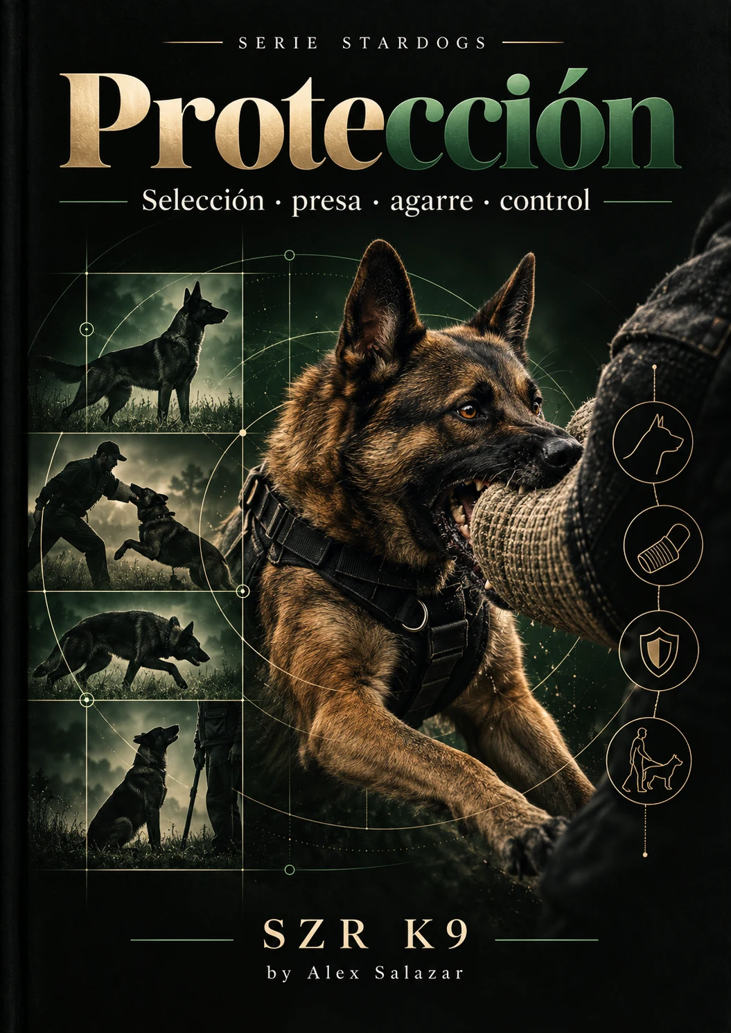 Portada STARDOGS Protección