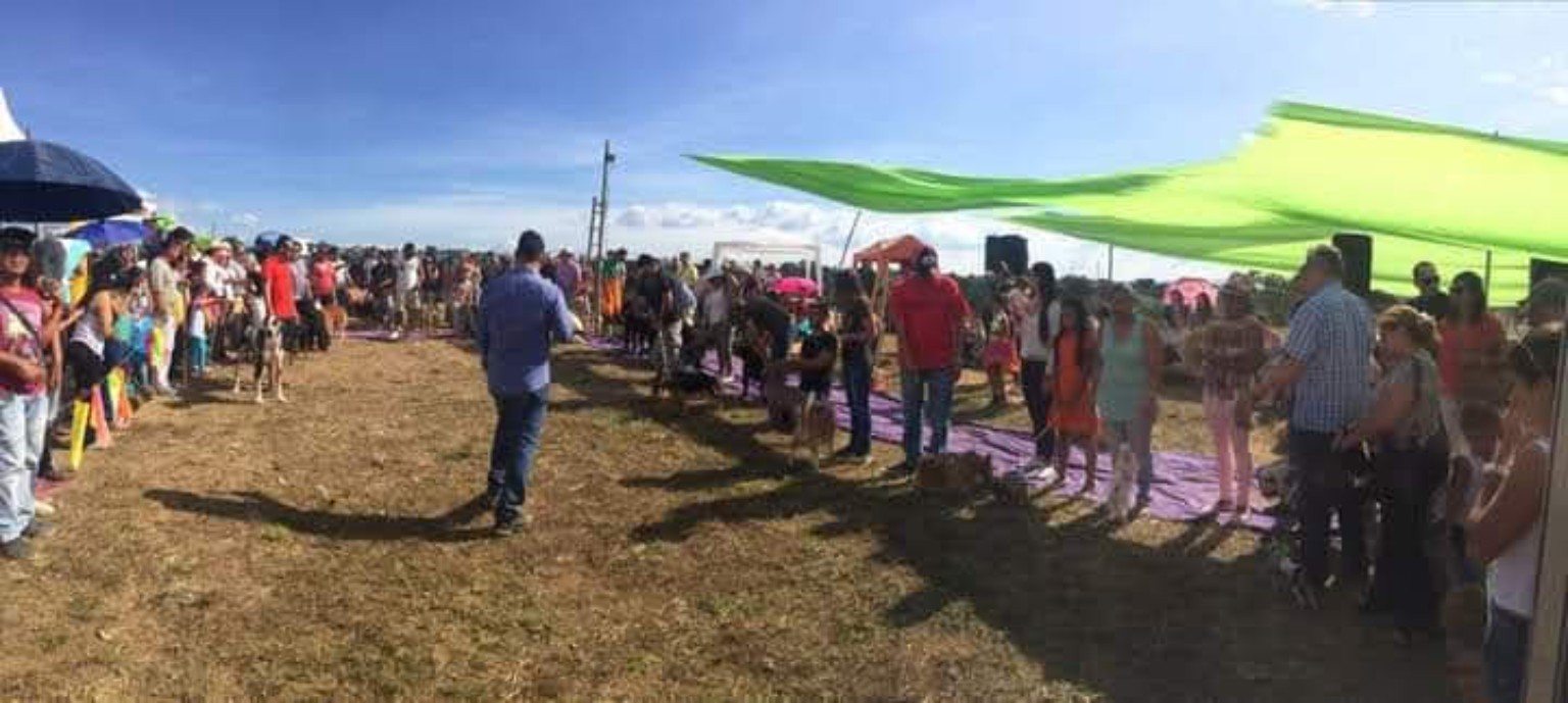 Evento canino con público