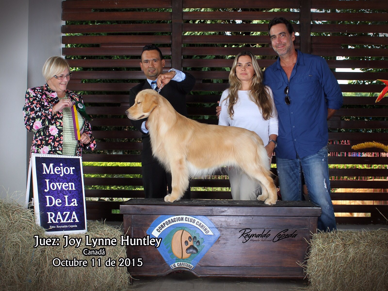 Reconocimiento en exposición canina
